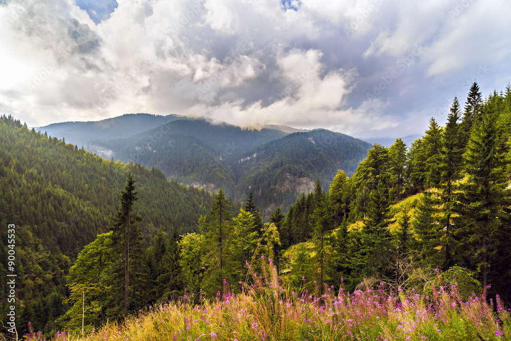 beautiful wild mountain landscape in the Carpathian Mountains, R