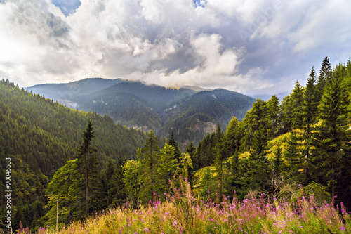 beautiful wild mountain landscape in the Carpathian Mountains, R © czamfir