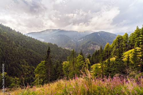 beautiful wild mountain landscape in the Carpathian Mountains, R