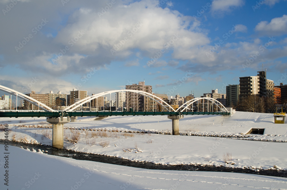 Fototapeta premium 雪の豊平川