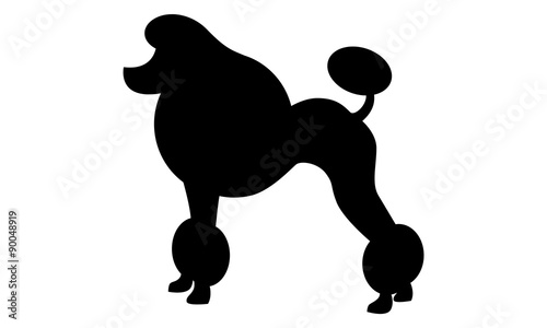 Pudel Silhouette