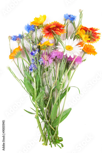 Wildflowers isolated on white