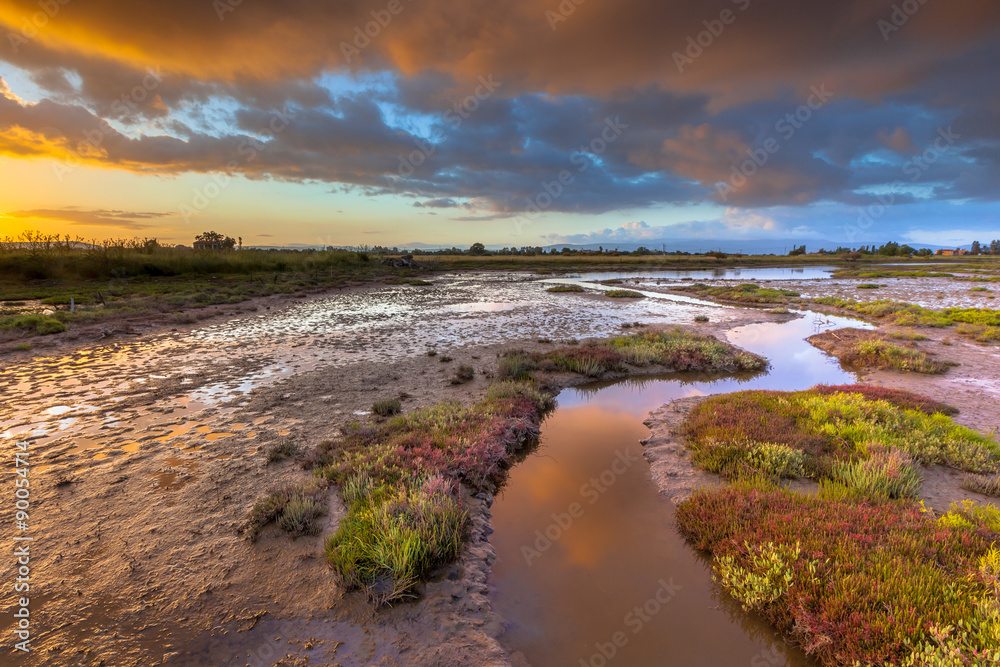 Salicornia Estuary sunrise