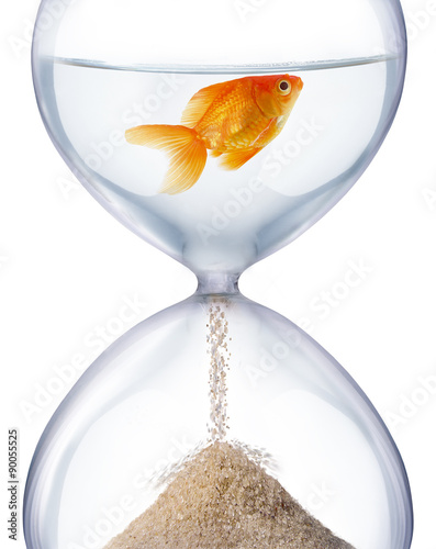 Aquarium hourglass.
It symbolizes the transience of time and changes in life.