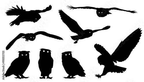 owl silhouettes photo