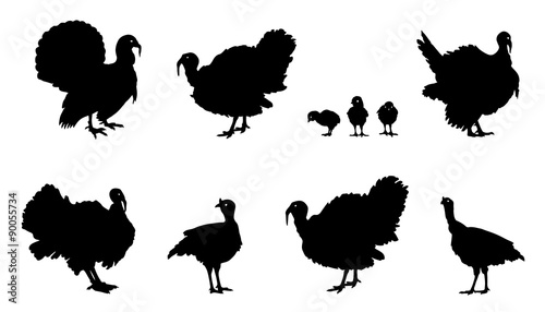turkey silhouettes photo