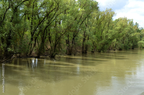 Im Donaudelta, Rumänien