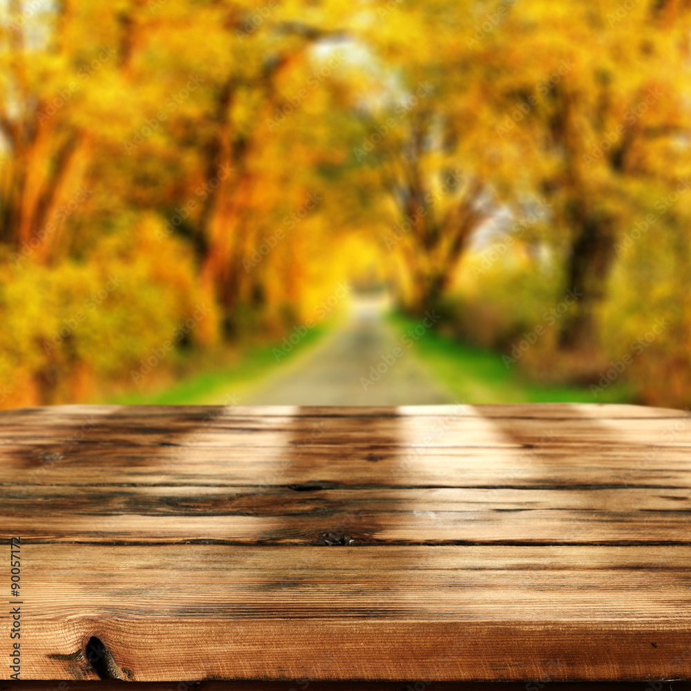 autumn autumn
