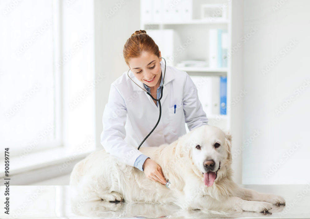 happy woman with dog and doctor at vet clinic happy woman with dog and doctor at vet clinic