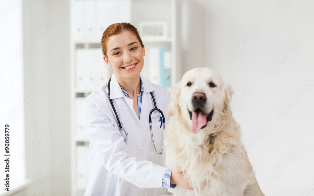 happy doctor with retriever dog at vet clinic happy doctor with retriever dog at vet clinic