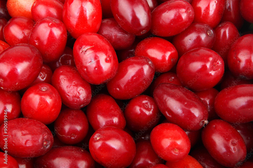 fresh cornel berries fresh cornel berries