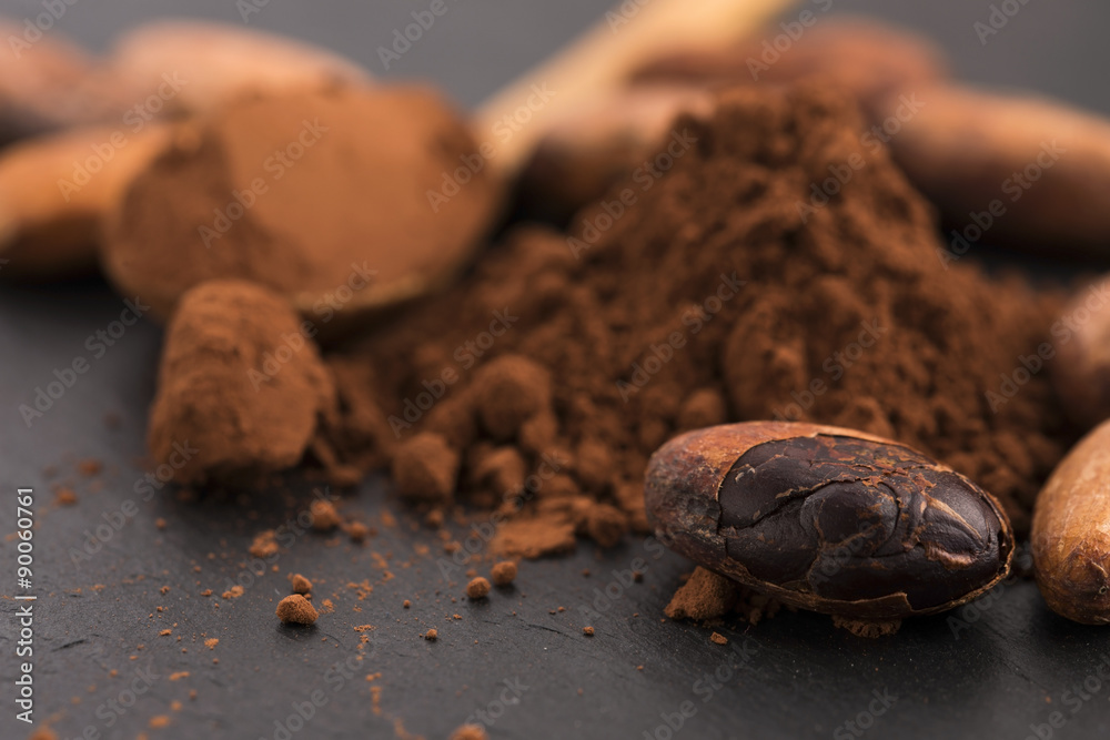 cacao beans and cacao powder in spoon cacao beans and cacao powder in spoon