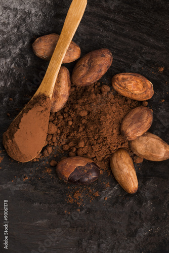 cacao beans and cacao powder in spoon © joanna wnuk