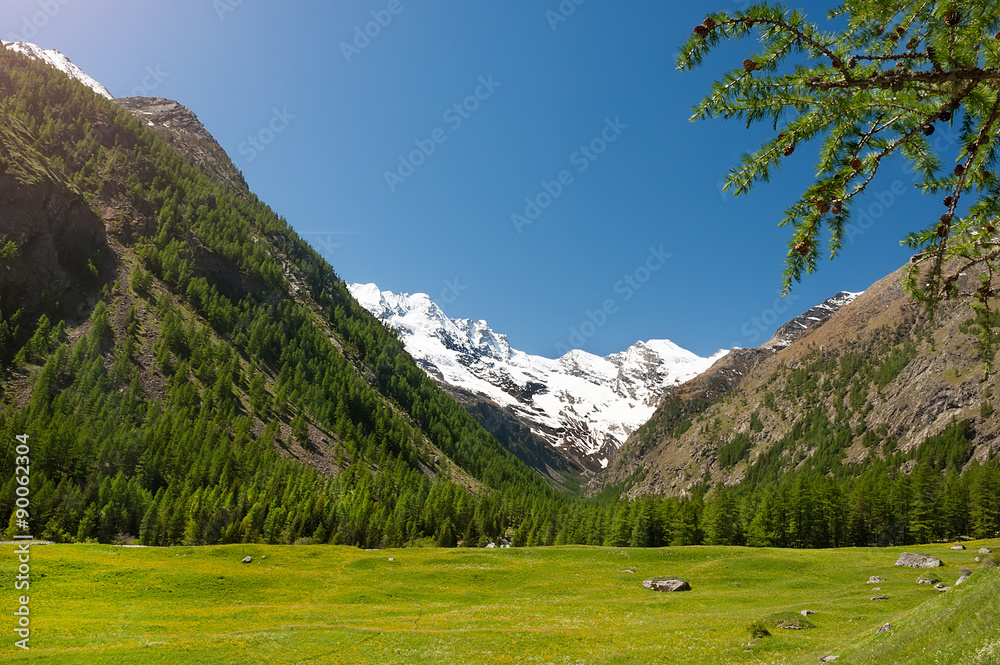 Panoramic view of the mountains of the Gran Paradiso Park, Italy