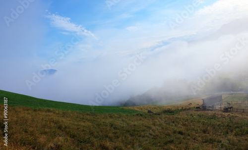 early morning mist floating from a valley up over a paddock with horses in the french alps