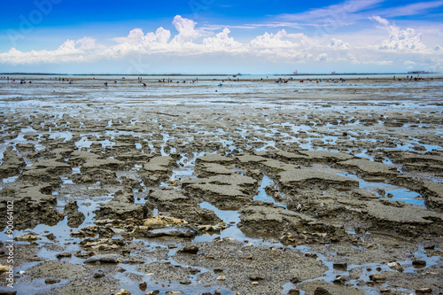 Foto lowtide seascape