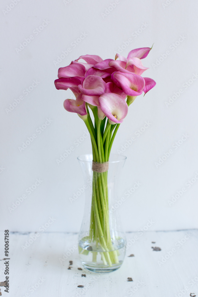 Bunch of pink callas in the vase on black background