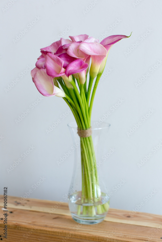 Fototapeta premium Bunch of pink callas in the vase on black background