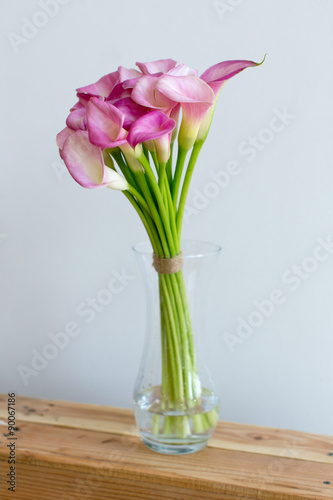 Bunch of pink callas in the vase on black background
