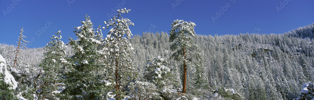 Lake Tahoe, California in winter Lake Tahoe, California in winter