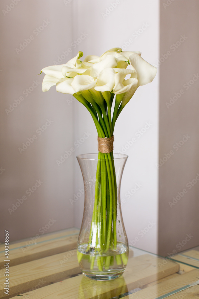 Bunch of callas in the vase on white background Bunch of callas in the vase on white background