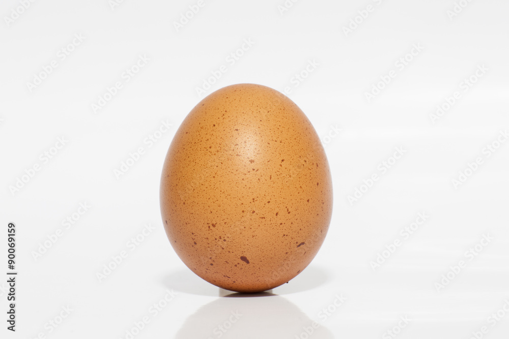 Egg Egg