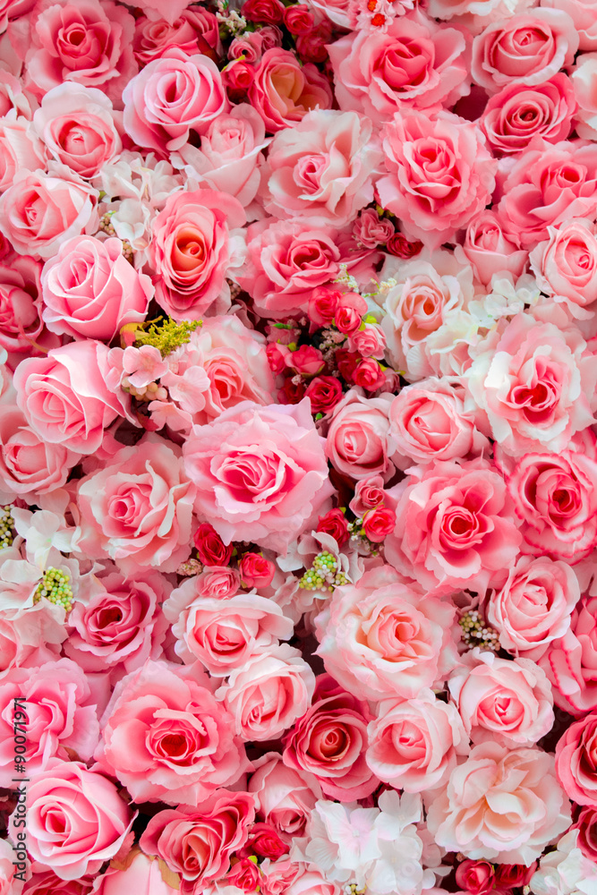 Soft color Roses Background Soft color Roses Background