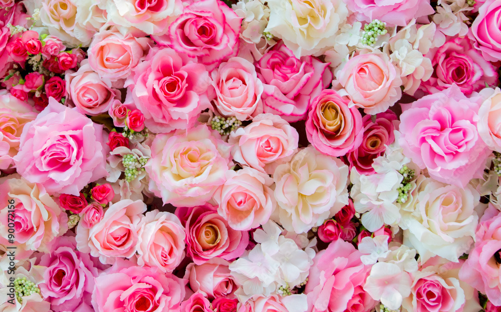 Soft color Roses Background