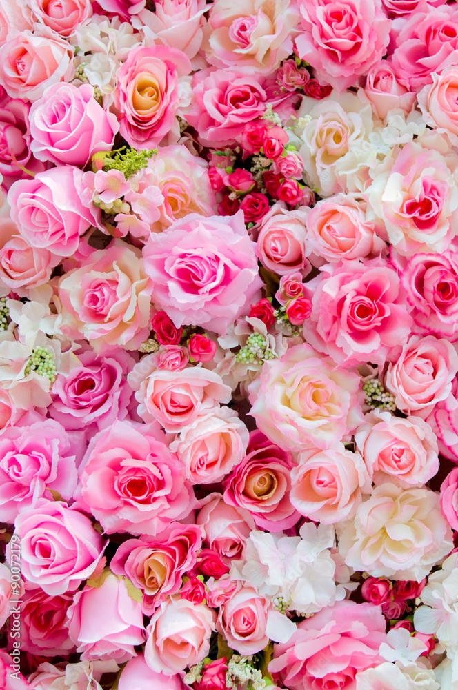 Soft color Roses Background