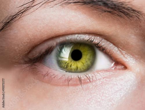 Photography green eye
