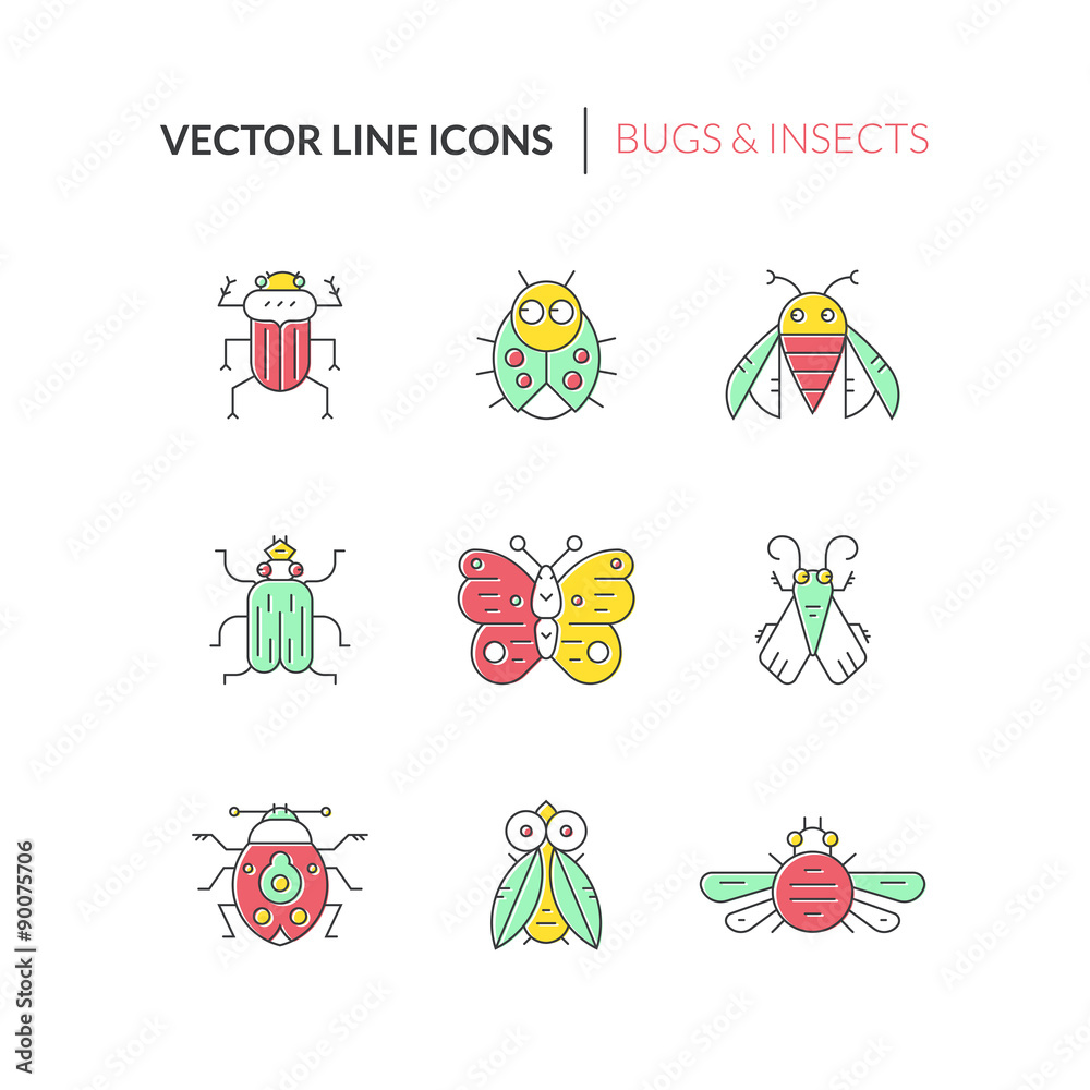 Fototapeta premium Insect Collection