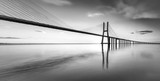 An black and white vision of the bridge Vasco da Gama