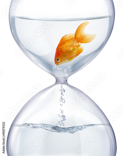 Aquarium hourglass.
It symbolizes the transience of time and changes in life.