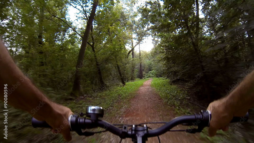 Riding an off road bicycle through forest Riding an off road bicycle through forest