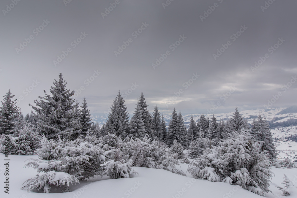 Fototapeta premium Scenery in the mountains, in winter