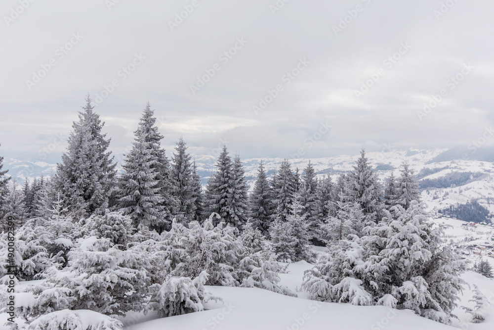 Scenery in the mountains, in winter Scenery in the mountains, in winter