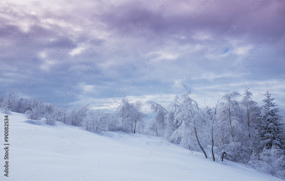 Obraz premium Winter scenery in the mountains with fresh powder snow