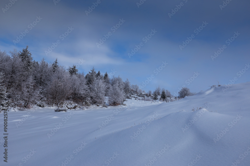 Winter scenery in the mountains with fresh powder snow