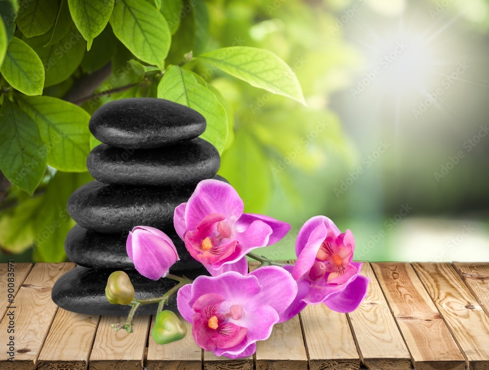 Obraz premium Orchid.