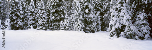 Winter Snowstorm in the Lake Tahoe Area, California #90084112