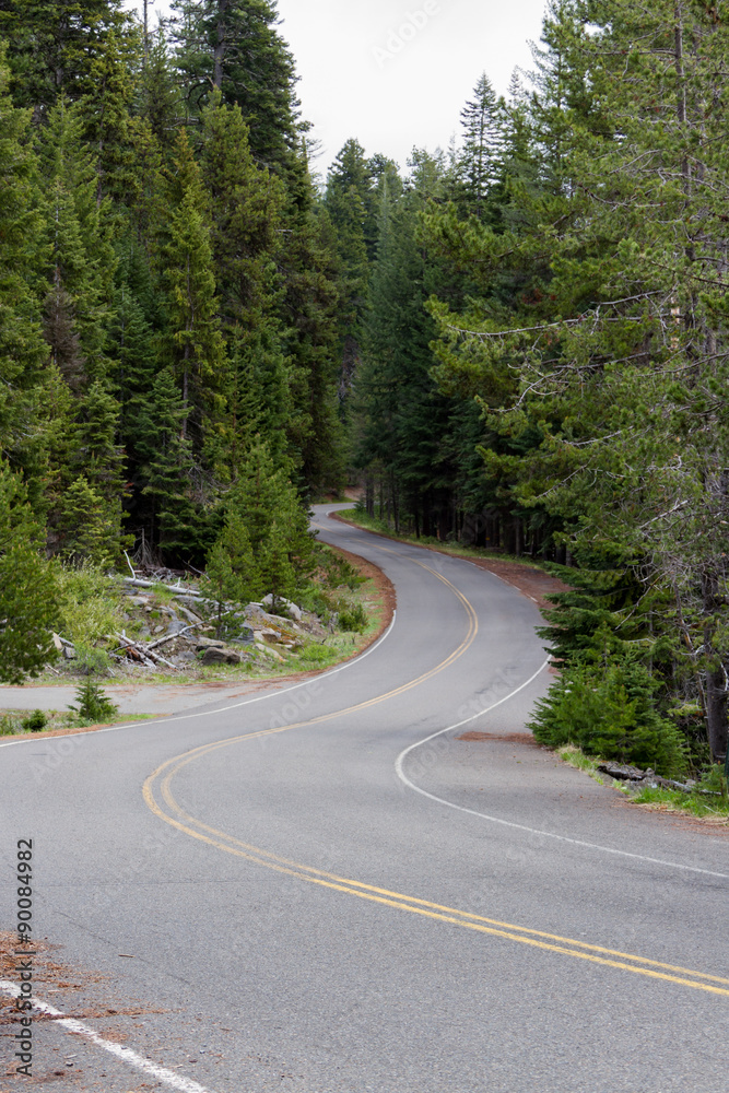 drive thru the forest drive thru the forest