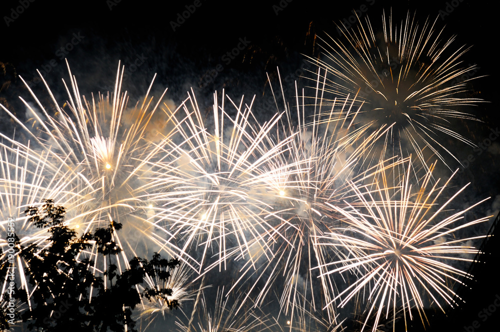 Naklejka premium Flashes of white salute fireworks against the black sky.