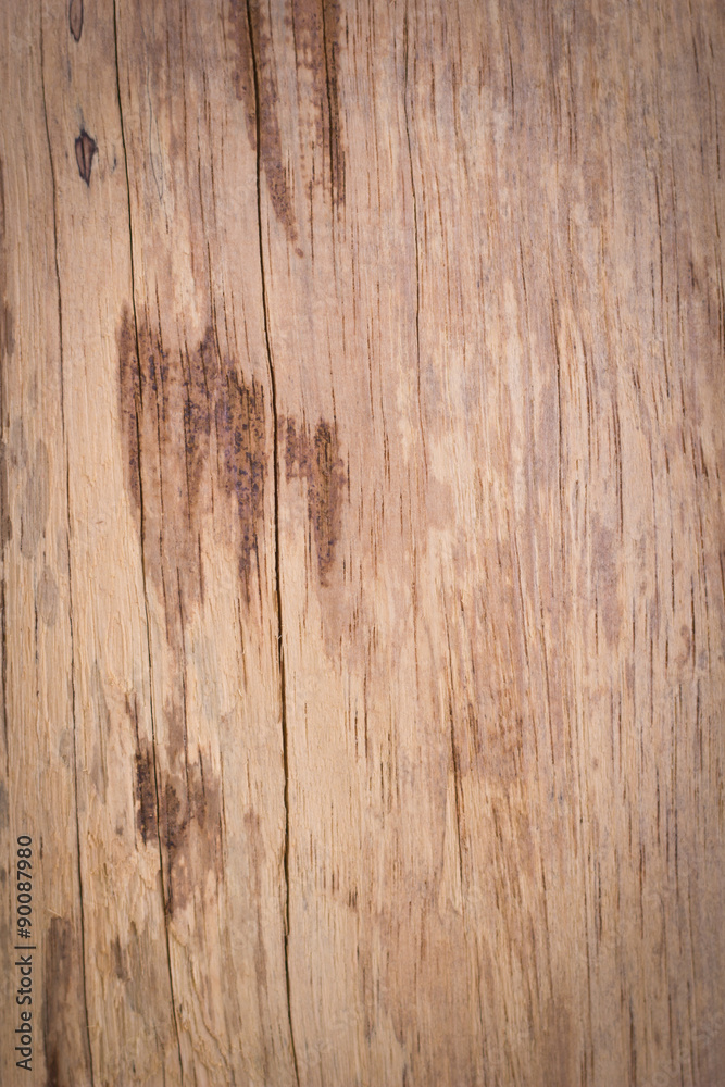 Wood texture. Wood texture.