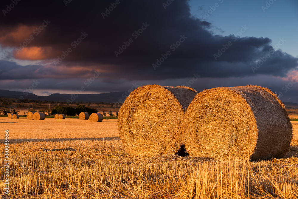 Round straw bales in the fields at sunset