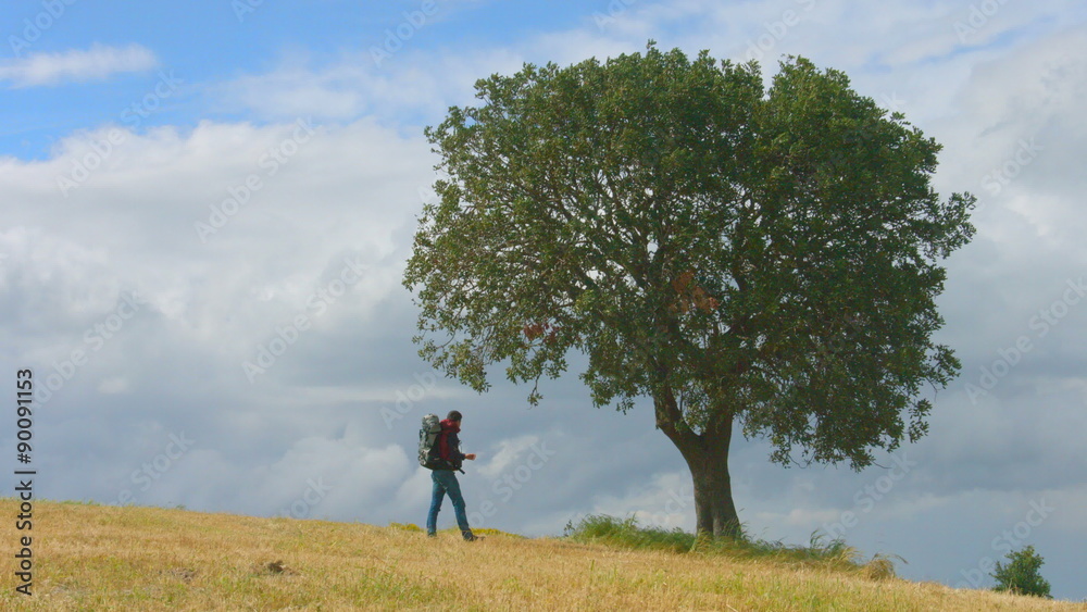 Young man with backpack relaxing near tree, hiker enjoying nature, green tourism Young man with backpack relaxing near tree, hiker enjoying nature, green tourism