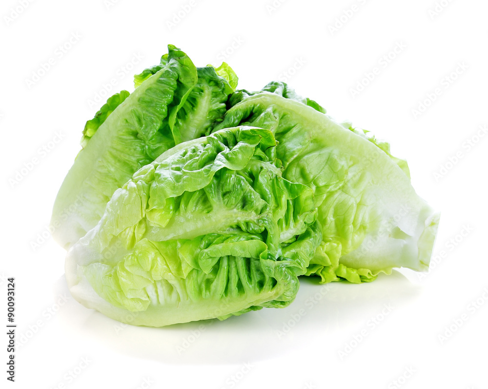 green lettuce isolated on white background green lettuce isolated on white background