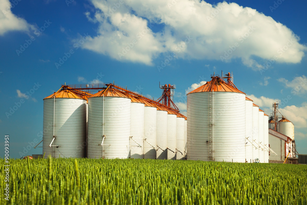 Agricultural silos under blue sky, in the fields Agricultural silos under blue sky, in the fields