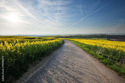 Fototapeta Naklejka Na Ścianę i Meble -  Road through beautiful yellow fields