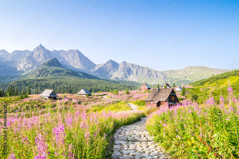 Fototapeta premium Drewniane chaty rozrzucone na kwiecistej łące