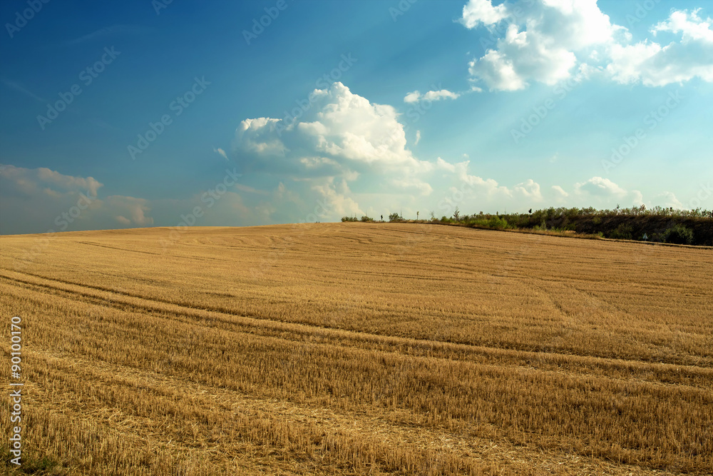 Beautiful landscape with harvested field